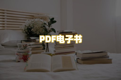 PDF电子书